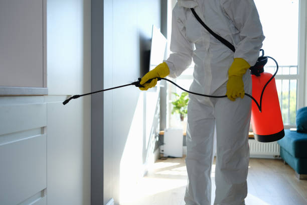 Best Mold Removal for HVAC Installations  in Runaway Bay, TX